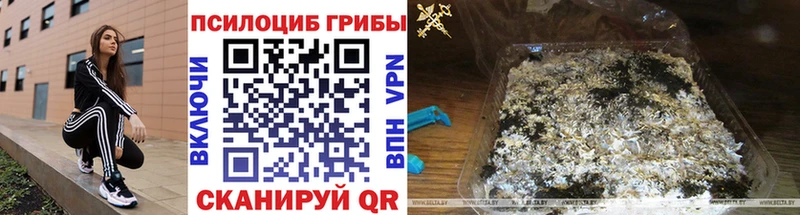Купить Тетюши Галлюциногенные грибы мицелий